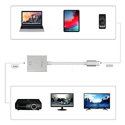 Câble USB Type C Vers HDMI 4K Femelle Adaptateur Vidéo LinQ 15 cm Argent pas cher