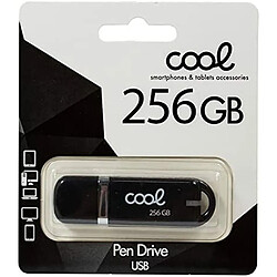 Clé USB Cool Cover 256 GB