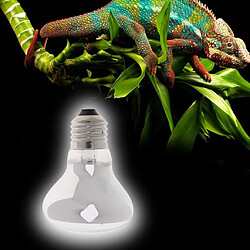 Lampe de reptile lampes de chauffage infrarouge