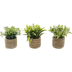 Sil Plante artificielle avec pot tressé (Lot de 3).