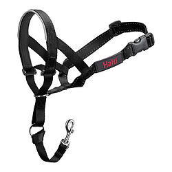 Collier d'entraînement pour chiens Company of Animals Halti Noir Muselière (31-40 cm)