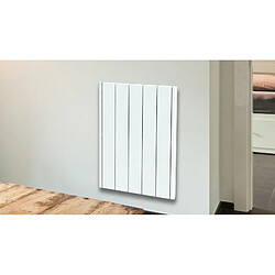 Avis Carrera Radiateur Électrique LCD Céramique Blanc 1000W JADA