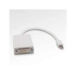 Acheter Disney Microconnect Mini Displayport - DVI 15cm