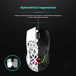 Universal Souris gaming légère, symétrique, ergonomique, rétroéclairée RVB, 6 vitesses, 6200 ppp | Mouse (noire) pas cher