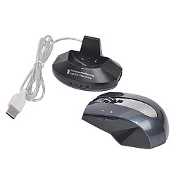 Acheter Yonis Souris Sans Fil Rechargeable Avec HUB Noir Argent