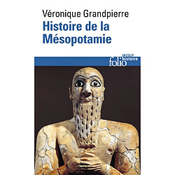 Histoire de la Mésopotamie - Occasion