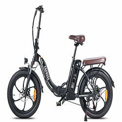 Vélo Électrique FAFREES F20 Pro | Moteur 250W Batterie 648WH Autonomie 80KM | Noir