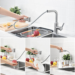 Acheter CECIPA MAX Mitigeur de Cuisine avec Douchette Extractible, Robinet d'évier Brossé, Robinet d'eau Chaude et Froide, 2 Modes de Sortie D'eau