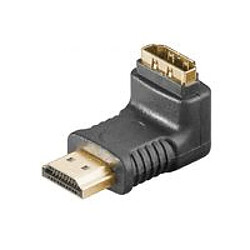 Disney Microconnect HDM19F19MA2 adaptateur et connecteur de câbles