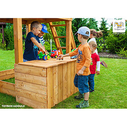 Grande aire de jeux Play Box multiactivités en bois de chez Fungoo pas cher