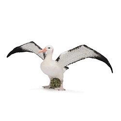 Figurines Collecta Figurine Albatros hurleur