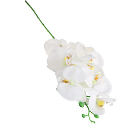 Phaleanopsis artificielle 9 tête décorative orchidée fleur Bonsaï blanc