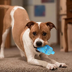 Jouet à mâcher rafraîchissant pour chien, jouet de dentition congelable pour chien, jouet rafraîchissant pour chien