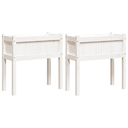 vidaXL Jardinières 2 pcs avec pieds blanc bois de pin massif