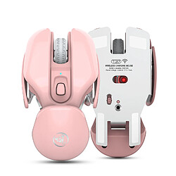 Avis Universal T37 1600dpi 2.4G sans fil rechargeable sans fil souris silencieuse PC portable rose