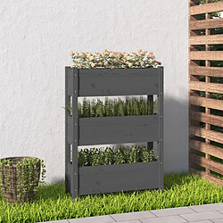 vidaXL Jardinière Gris 77x25x104,5 cm Bois massif de pin