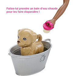 Barbie Famille Coffret le Bain des Animaux, poupée Brune avec Figurines Chiot, Chaton et lapin, Accessoires, Jouet pour Enfant, FXH12