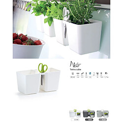 Pot pour herbes avec ciseaux Twins Cube blanc DTC245-S449