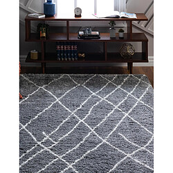 Acheter Hadorn Tapis shaggy 395x300 Gris foncé Lachen Fence