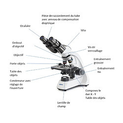 Kern sohn Kern - Microscope scolaire à lumière transmise OBT-1 binoculaire 4x à 100x revolver 4 objectifs + platine mécanique - OBT 106