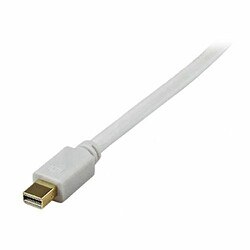 StarTech.com Câble Adaptateur Mini DisplayPort vers DVI-D Actif 1,8 m - Convertisseur Mini DP Mâle vers DVI Mâle 2560 x 1600 - Blanc