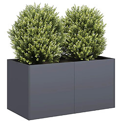 vidaXL Jardinière anthracite 80x40x40 cm acier laminé à froid