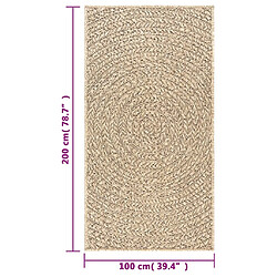 vidaXL Tapis ZIZUR 100x200 cm aspect de jute intérieur et extérieur pas cher