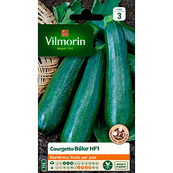 Graines Courgette Belor VILMORIN