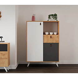 Avis EPIKASA Armoire à Usages Multiples Pera