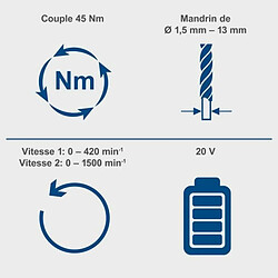 Perceuse à Percussion Scheppach c-cd45-x 20 V pas cher