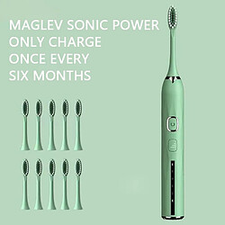 Universal Meilleures ventes pour adultes Brosse à dents électrique sonore Vibration Maglev Charge Brosse à dents automatique Nettoyeur dentaire portable