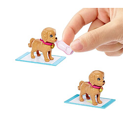 Avis Mattel Barbie Set de jeu d'adoption de chiots avec poupée brunette