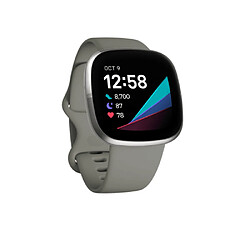 Acheter Fitbit FB512SRSG Montre Intelligente 1.58? Bluetooth Synthetic IOS Android Gris Argent