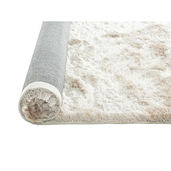 Acheter Vente-Unique Tapis shaggy à poils longs ultra doux - 200 x 290 cm - Beige - DOLCE