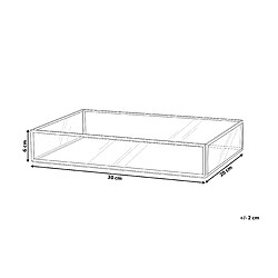 Avis Beliani Plateau de service argenté 30 x 20 cm GRENOBLE