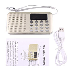 Acheter Wewoo Y-896 Portable LCD stéréo numérique FM Radio AM haut-parleur, batterie Li-ion rechargeable, Support Micro TF carte / USB / MP3 Player