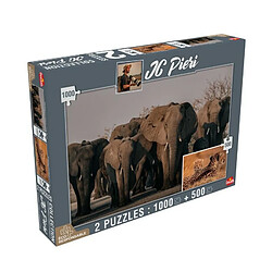 GOLIATH - Puzzle - Collection JC Pieri - Elephants Namibie et Lionceaux Tanzanie