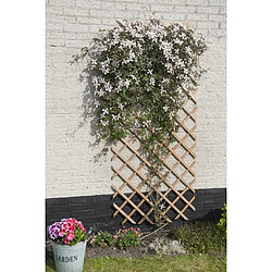 Nature Palissade de jardin 50 x 150 cm Bois l