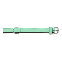 Acheter Collier pour Chien Gloria Rembourré Vert (50 x 2,5 cm)