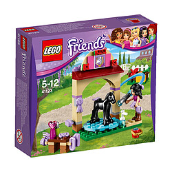 LEGO Le toilettage du poulain - 41123