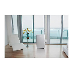 OCEANIC Climatiseur mobile monobloc - 2000W - 7000 BTU - Programmable - Classe énergétique A - blanc pas cher