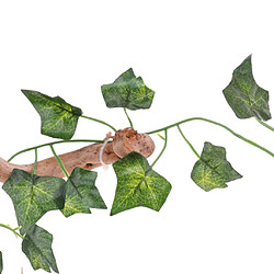 Acheter Racine De Rhododendron Naturel Avec Des Feuilles De Vigne Enveloppées Ornement De Vivarium De Reptile