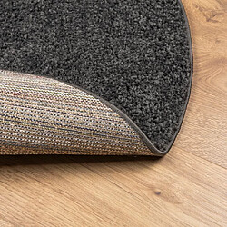 Acheter vidaXL Tapis shaggy PAMPLONA poils longs moderne anthracite Ø 100 cm