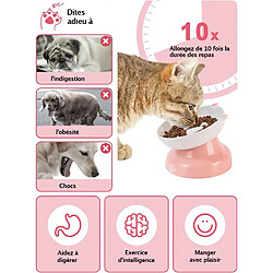 Avis YYHY Bol pour Chat à Alimentation Lente en céramique de 118ml,Bol pour Chat surélevé,Conception inclinée,Mangeoire Lente pour Chiens et Chats,Rose et Blanc