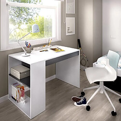 Avis MIRAKEMUEBLE Bureau Teo Blanc - graphite