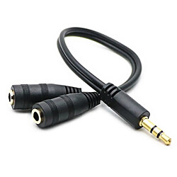 Tech Discount TD® Adaptateur Coupleur Sortie Double Jack - 3.5mm - cable et connectique pour audio-vidéo - accessoire de casques, telephone