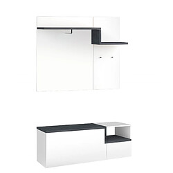 Alter Meuble d'entrée, Made in Italy, Entratina avec cintre, Range-chaussures, meuble TV, 120x40h54 cm, couleur blanc brillant et gris ardoise