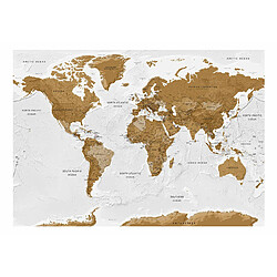 Artgeist Papier peint - World Map: White Oceans [100x70]