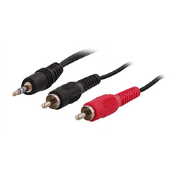 T'Nb TNB JACKRCA12 - Câble jack stéréo 3.5 M/2 RCA M 1,2m - noir