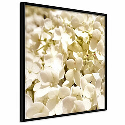 Paris Prix Affiche Murale Encadrée Soothing Flowers 20 x 20 cm Noir